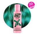 CRAZY COLOR PINE GREEN 100ML 46