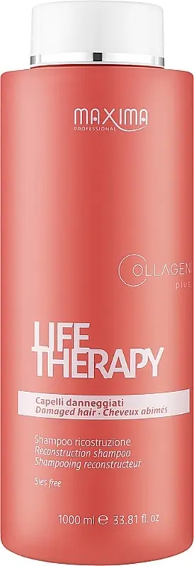 SHAMPOING CHEVEUX ABÎMÉS LIFE THERAPY 1000ML