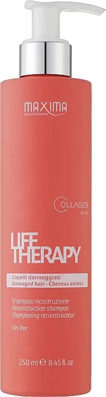 SHAMPOING CHEVEUX ABÎMÉS LIFE THERAPY 250ML